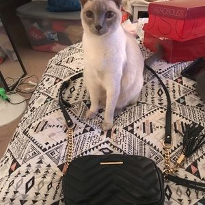 Black and gold Aldo crossbody